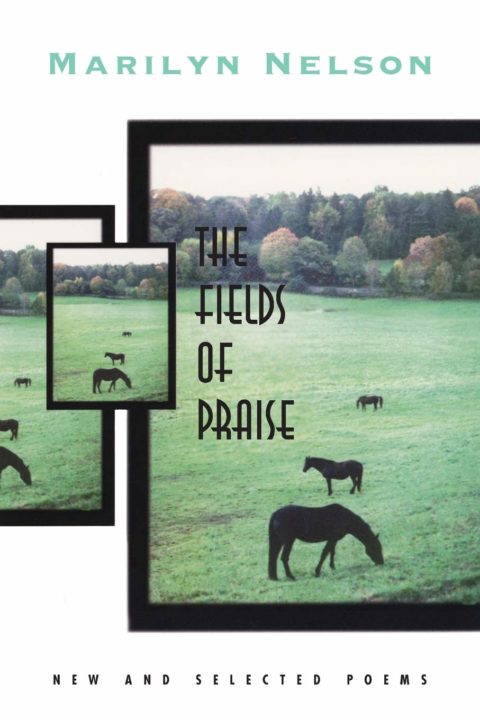 Fields Of Praise